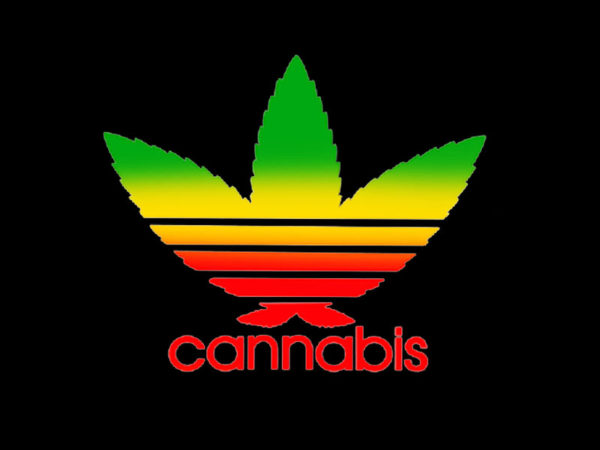 Adidas Logo Cannabis Black Tee-Shirt
